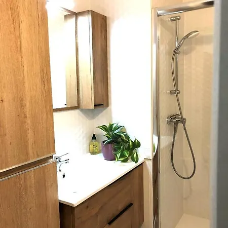 2 Pieces Avec Cabine Proche Bois Fleuri Apartment